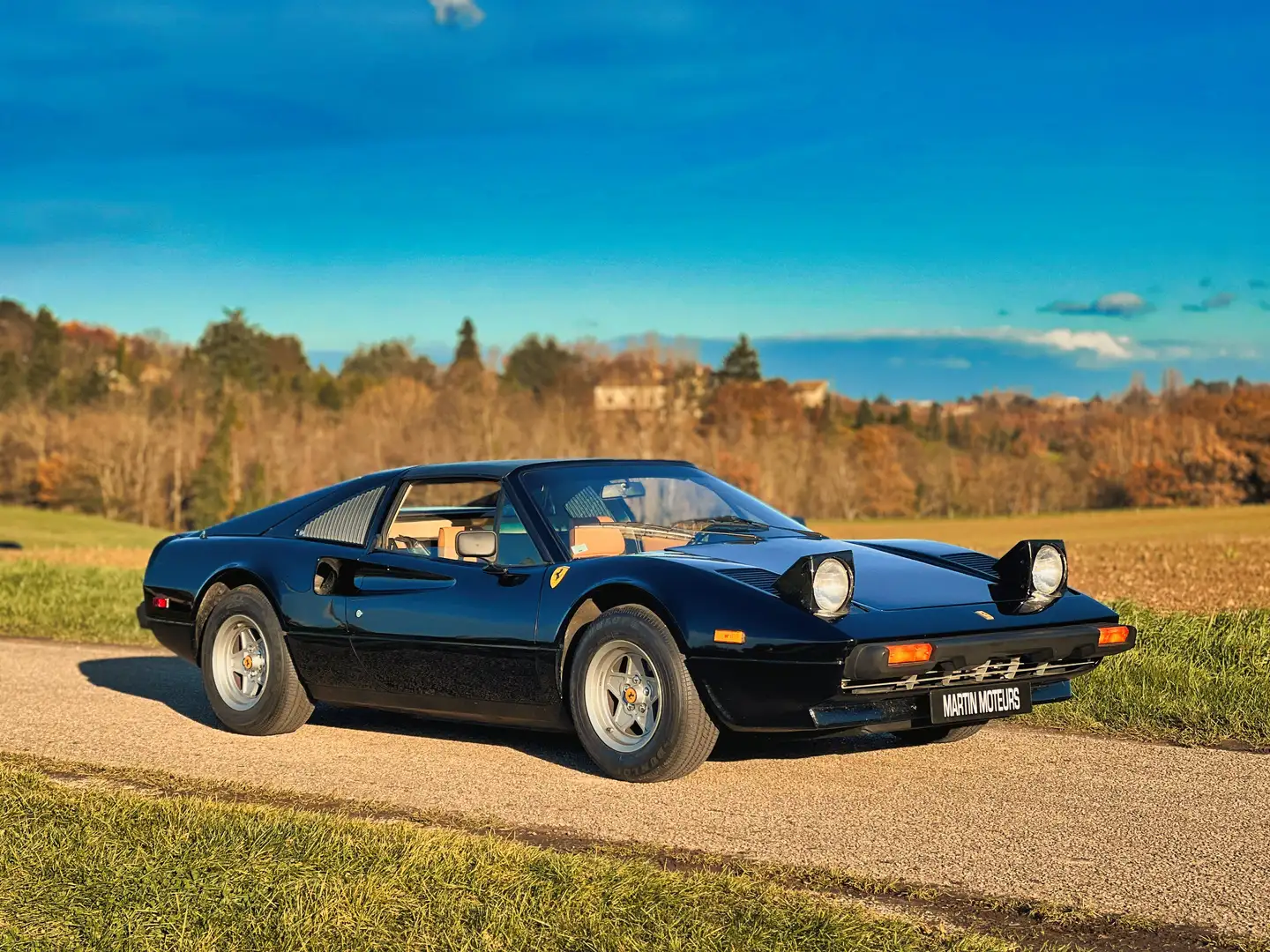 Ferrari 308 GTSi Negru - 2