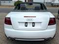 Audi A4 Cabriolet 2.0 TFSI*HU NEU*INSPEKTION NEU* Weiß - thumbnail 11