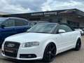 Audi A4 Cabriolet 2.0 TFSI*HU NEU*INSPEKTION NEU* Weiß - thumbnail 1