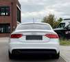 Audi A5 Sportback 2.0 TDI S-LINE+|SHZ|XENON|DSP|TOP| Weiß - thumbnail 9