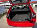 Skoda Octavia Combi Soleil,Standheizung,Led,Kamera Rot - thumbnail 8