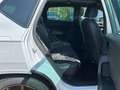 CUPRA Ateca 2.0 TSI 4Drive Pano Beats Business-Paket Blanc - thumbnail 16
