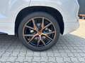 CUPRA Ateca 2.0 TSI 4Drive Pano Beats Business-Paket Blanc - thumbnail 19