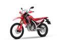 Honda CRF 300 L CRF 300 L - YM 2025 - thumbnail 5