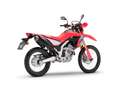 Honda CRF 300 L CRF 300 L - YM 2025 - thumbnail 3