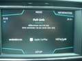 SEAT Leon FR TSI ACT DSG Negro - thumbnail 16