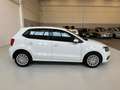 Volkswagen Polo Polo 5p 1.4 tdi Trendline 75cv - SOLO 49.000 KM White - thumbnail 6