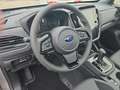Subaru Forester 2,0i e-Boxer Premium AWD Aut. Gris - thumbnail 7