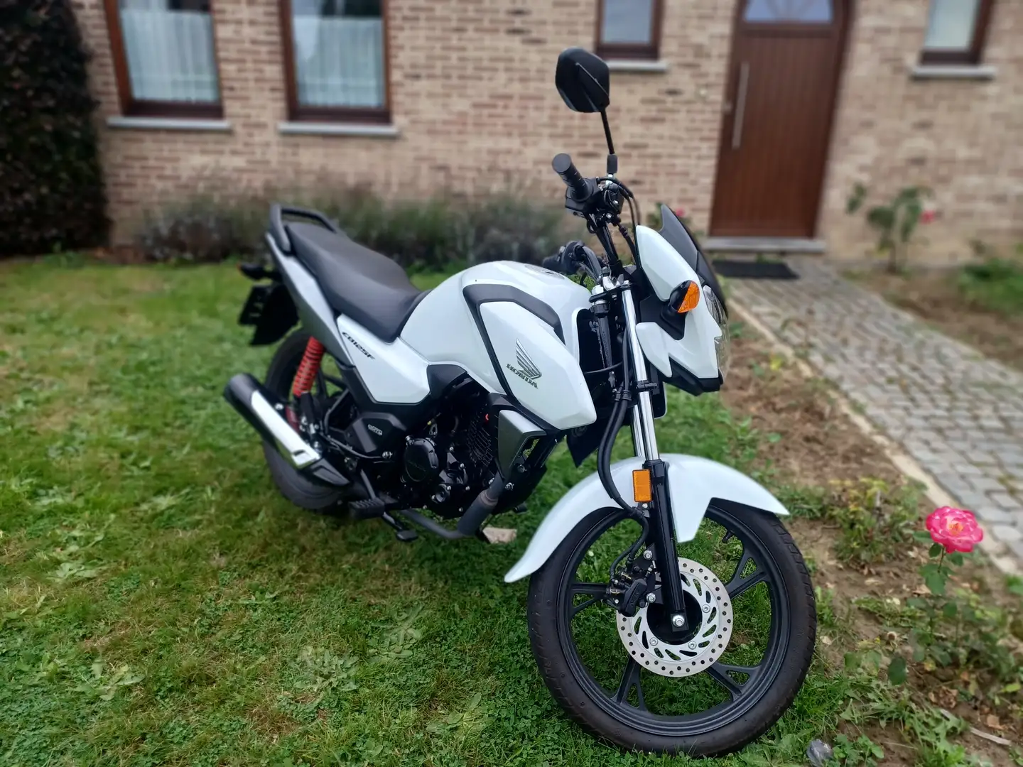 Honda CBF 125 Wit - 2