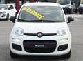Fiat Panda 1.0 firefly hybrid Bianco - thumbnail 2