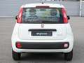 Fiat Panda 1.0 firefly hybrid Bianco - thumbnail 6