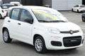 Fiat Panda 1.0 firefly hybrid Bianco - thumbnail 3