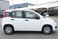 Fiat Panda 1.0 firefly hybrid Bianco - thumbnail 4