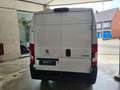Peugeot Boxer 165 PK / L3H2 / CAMERA / AIRCO BOXER CITY PACK Wit - thumbnail 12