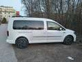 Volkswagen Caddy 2.0 TDI (7-Si.) 4MOTION Maxi Comfortline Weiß - thumbnail 2