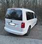 Volkswagen Caddy 2.0 TDI (7-Si.) 4MOTION Maxi Comfortline Weiß - thumbnail 3
