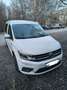 Volkswagen Caddy 2.0 TDI (7-Si.) 4MOTION Maxi Comfortline Weiß - thumbnail 1