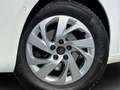 Citroen C4 Picasso C4 Aut. 130 Picasso Shine Weiß - thumbnail 2