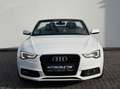 Audi A5 Cabriolet 2.0 TDI S line / GARANTIE / Blanc - thumbnail 2