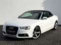 Audi A5 Cabriolet 2.0 TDI S line / GARANTIE / Blanc - thumbnail 13