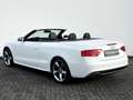 Audi A5 Cabriolet 2.0 TDI S line / GARANTIE / Blanc - thumbnail 7