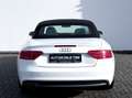 Audi A5 Cabriolet 2.0 TDI S line / GARANTIE / Blanc - thumbnail 15