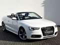 Audi A5 Cabriolet 2.0 TDI S line / GARANTIE / Blanc - thumbnail 3