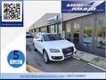 Audi Q5 Q5 2.0 TDI 170 CV quattro S tronic Bianco - thumbnail 1