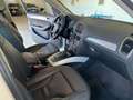 Audi Q5 Q5 2.0 TDI 170 CV quattro S tronic Bianco - thumbnail 4