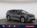 Skoda Enyaq 85x Grau - thumbnail 1