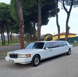 LIMOUSINE Town Car Stretch 9 Posti
