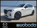 Mazda CX-60 2,5L PHEV 327PS AWD HOMURA PLUS Grau - thumbnail 1