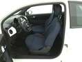 Fiat 500 Hybrid Cult 1.0 Mild Hybrid 70CV Bianco - thumbnail 10