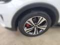 Kia Sorento 2.2 CRDI GT-Line 4WD Automatik *LEDER* Blanco - thumbnail 5