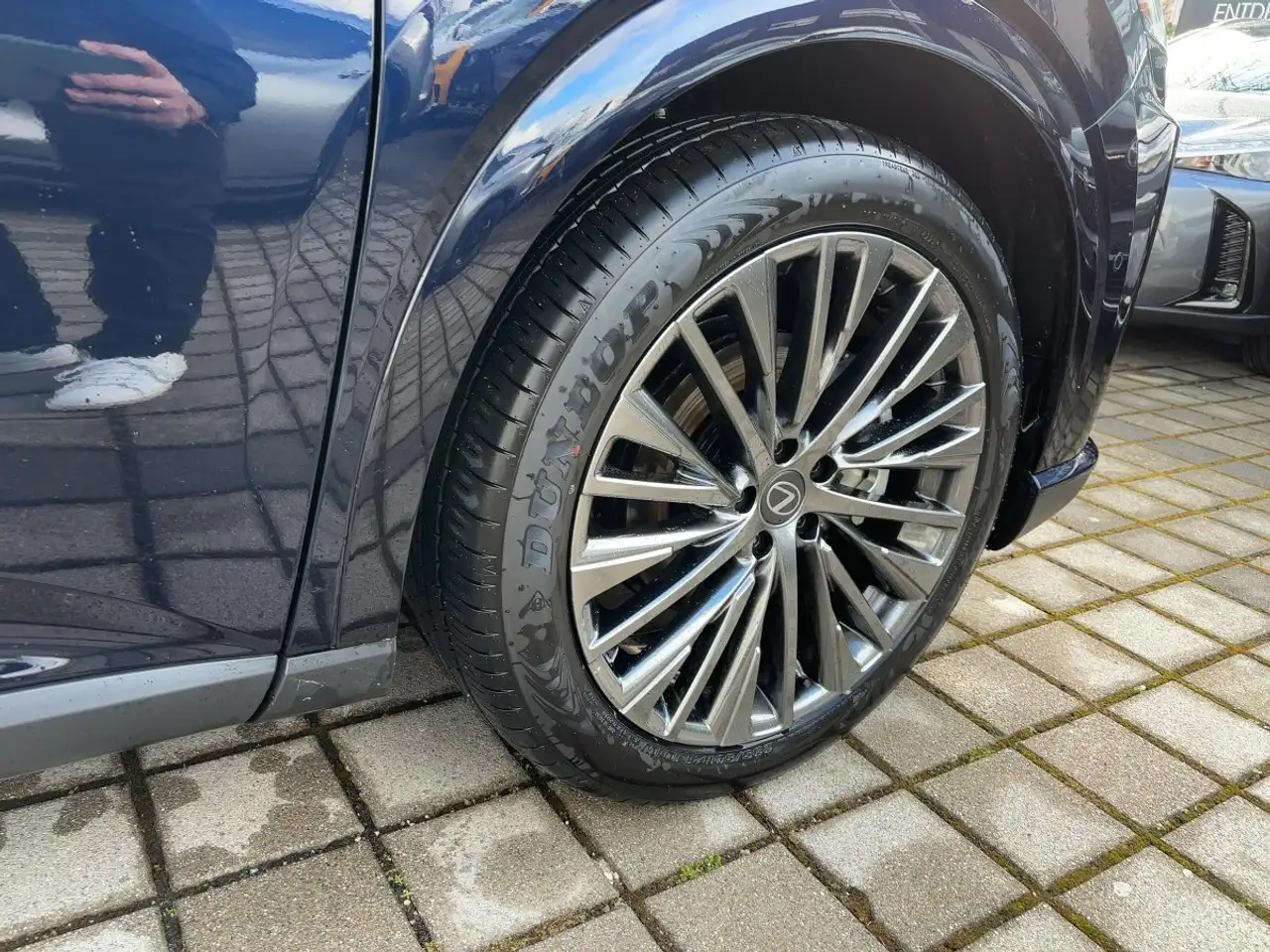 Lexus RX 450h RX 450 h+ E-FOUR Luxury Line *Panorama* 6