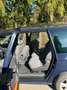 Volkswagen Sharan Sharan 1.9 TDI United II - thumbnail 6