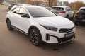 Kia XCeed GT Line Weiß - thumbnail 4