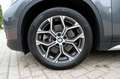 BMW X1 xDrive25e High Exec. / 18inch / Leder/ INCL. 12 ma Grijs - thumbnail 7