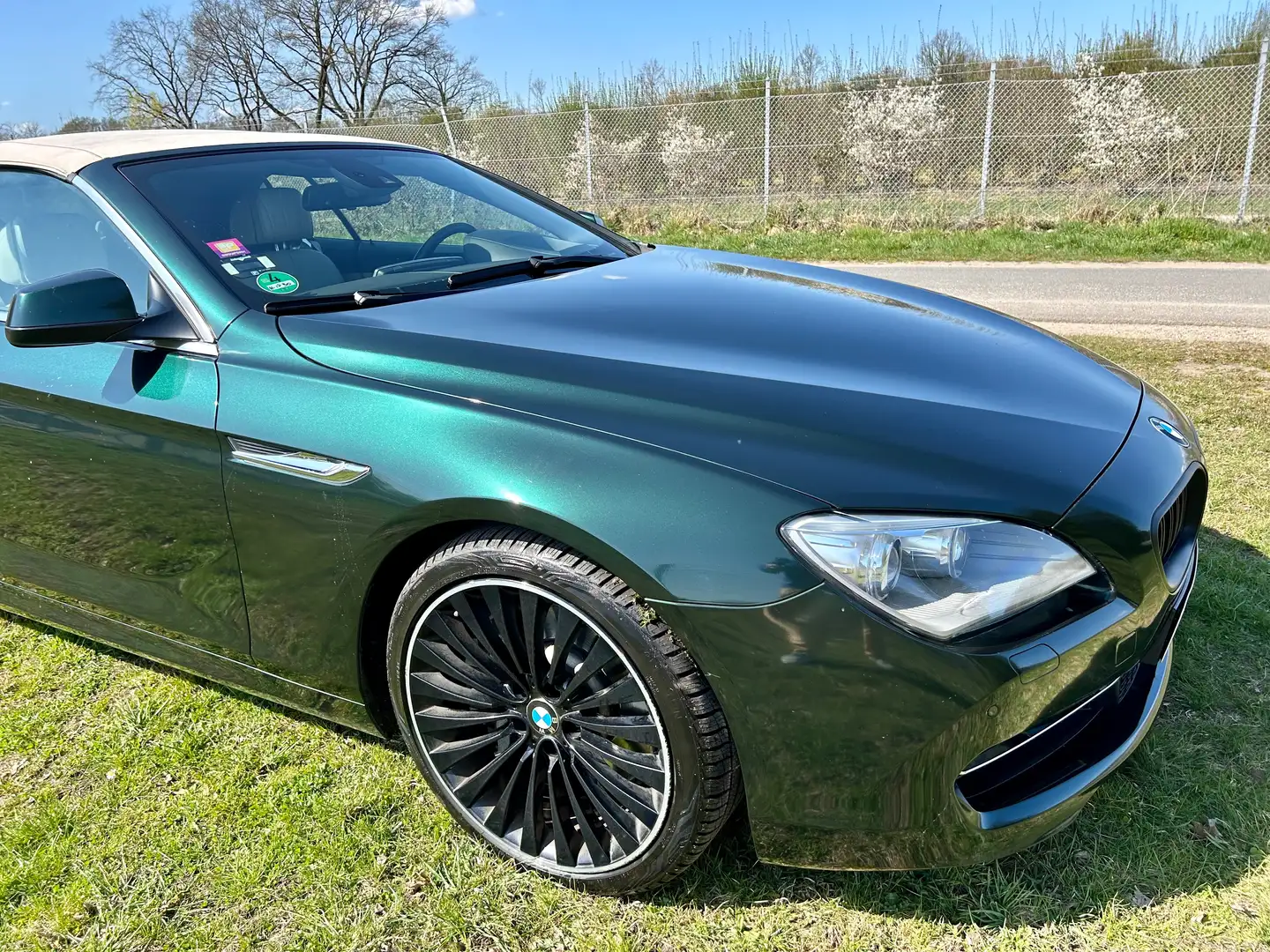 BMW 650 650i Cabrio Verde - 2