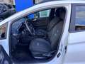 Ford Fiesta Fiesta Active X 1.0 ecoboost h 125cv Wit - thumbnail 5