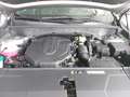 Kia Sorento SORENTO 2.2 CRDI AWD DCT8 PLATINUM MJ25 LEDER NAPP Gris - thumbnail 16