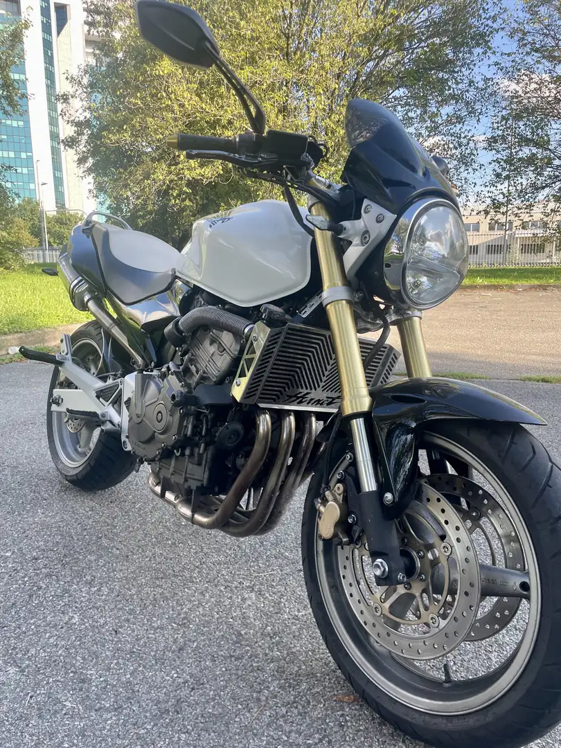 Honda Hornet Bianco - 2