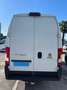 Fiat Ducato 35 2.3 MJT 140CV PLM-TM Furg.Maxi MOTORE NUOVO Bianco - thumbnail 6