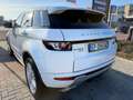 Land Rover Range Rover Evoque Range Rover Evoque 2.2 Sd4 5p. Dynamic Bianco - thumbnail 4