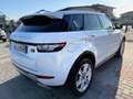 Land Rover Range Rover Evoque Range Rover Evoque 2.2 Sd4 5p. Dynamic Bianco - thumbnail 6