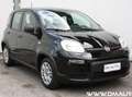 Fiat Panda Panda 1.0 firefly hybrid 5 Posti con Sensori Post Nero - thumbnail 1