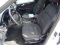 Ford Kuga 1.5 Ecoboost ST-Line+LED+ACC+Panorama Wit - thumbnail 13
