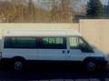 Ford Transit Bus Blanc - thumbnail 2