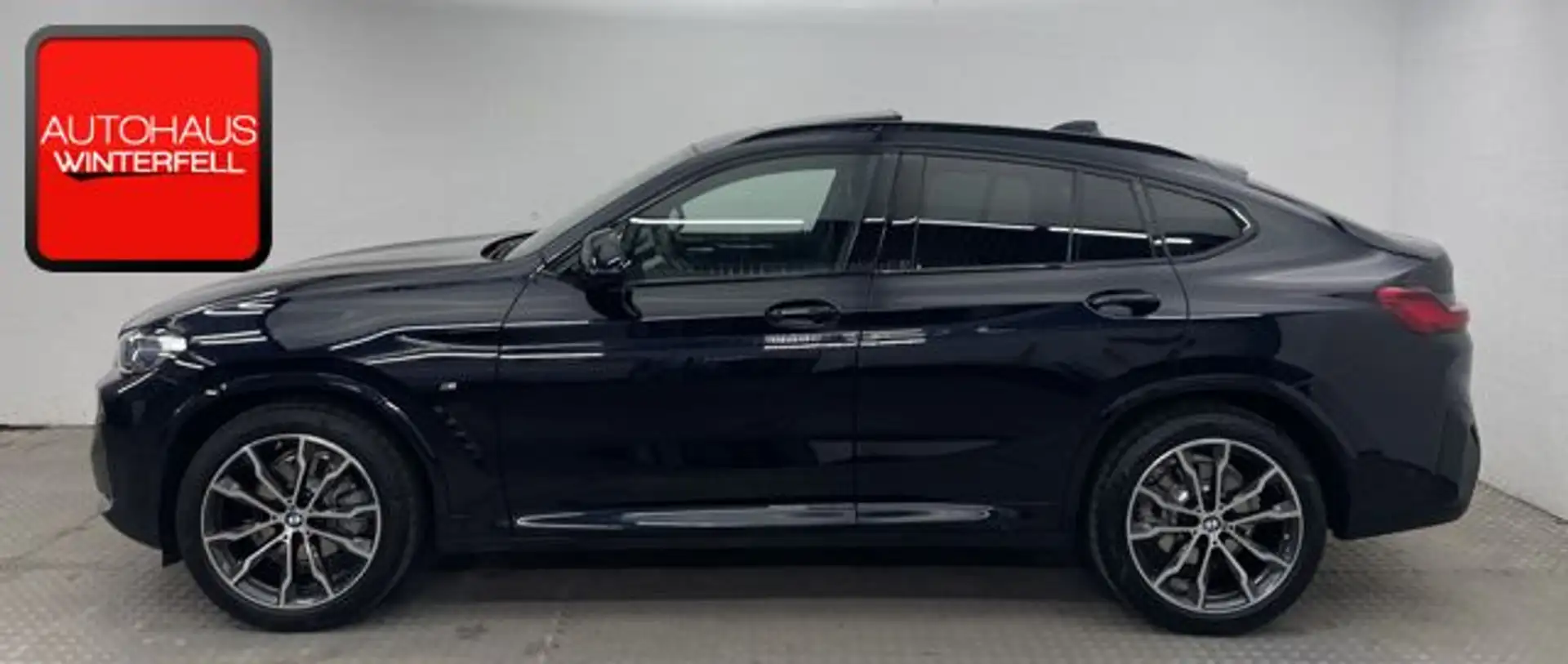 BMW X4 xDrive 20 i M SPORT CARBON+PANO+AHK+STANDHZG+ Black - 2