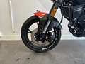 Benelli Leoncino - thumbnail 9